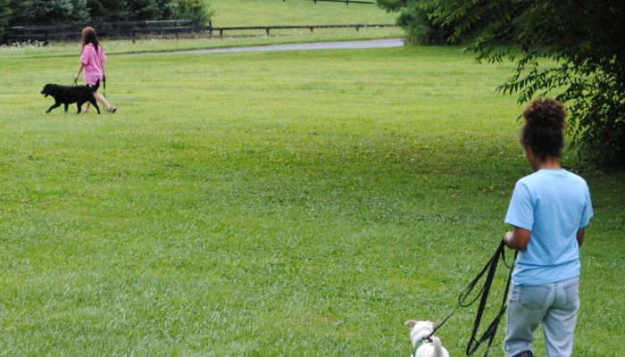 Shady Spring Pet Retreat Dog Boarding Kennel Carroll County Maryland